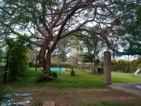 Dorrego 1800