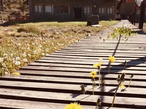 Complejo de 5 cabañas 2*