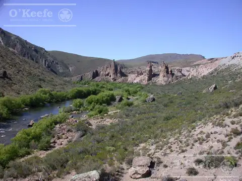 Campo en venta de 635 Has  Bariloche, costa del Pichileufu, Rio Negro