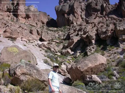 Campo en venta de 635 Has  Bariloche, costa del Pichileufu, Rio Negro