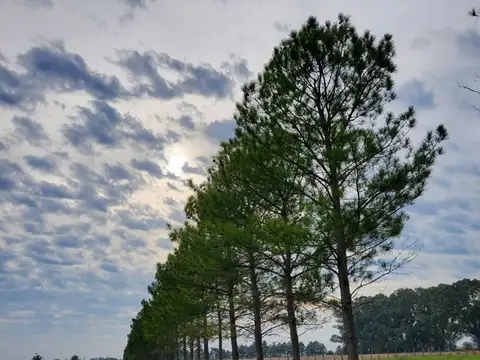 Campo - Venta - Argentina, Hernández