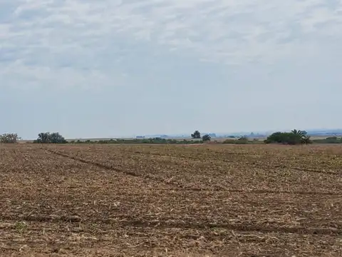 CAMPO AGRICOLA CON CASCO EN NOGOYA