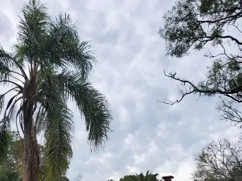 CAMPO AGRICOLA CON CASCO EN NOGOYA