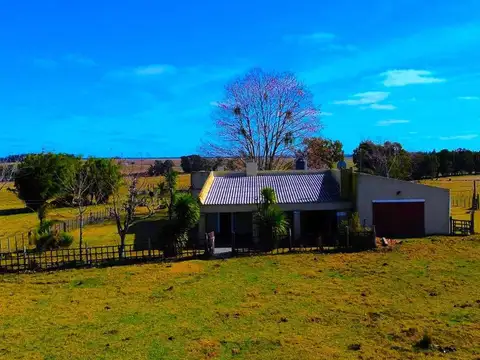 VENTA CAMPO 263hás A 9kmts DE MELO 4KMTS AERO INT.