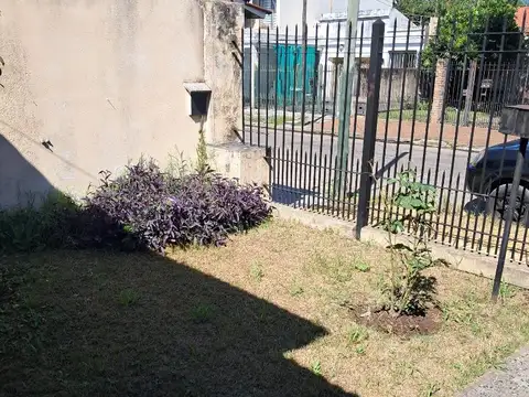 Florencio Ameghino 100