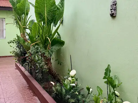 Avenida Lisandro De La Torre 1500, Piso pb