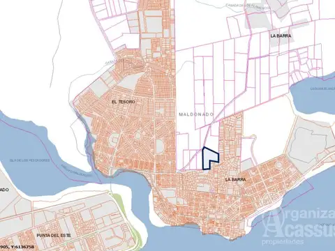 Camino de los Flamengos