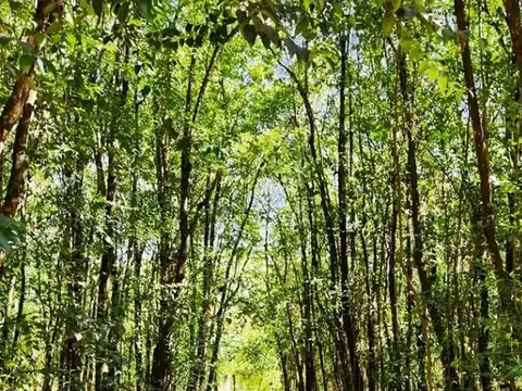 Terreno en Venta de 607,0 m2