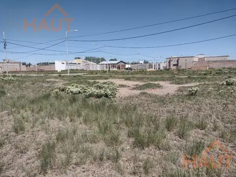 Belgrano y Gran Malvinas. Los Juanes