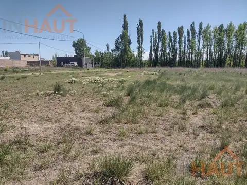Belgrano y Gran Malvinas. Los Juanes