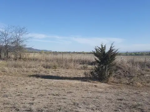 Terreno en Venta -  - 564mts - General Belgrano