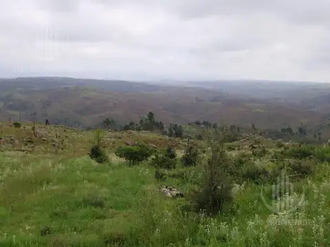 Terreno en Venta 40  mts Fondo