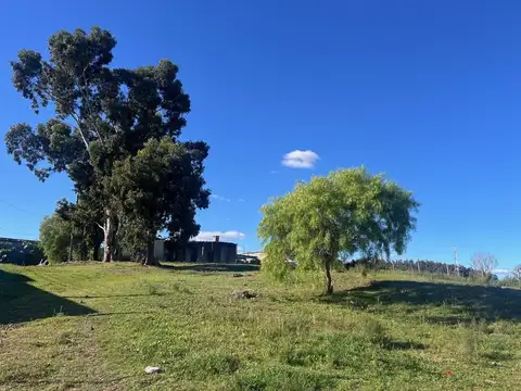 Venta de tres casas en amplio terreno en Minas