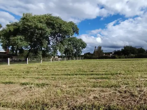 Terreno en Venta 40  mts Fondo
