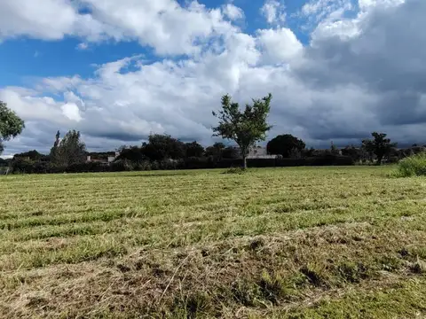 Terreno en venta Country Las Delicias