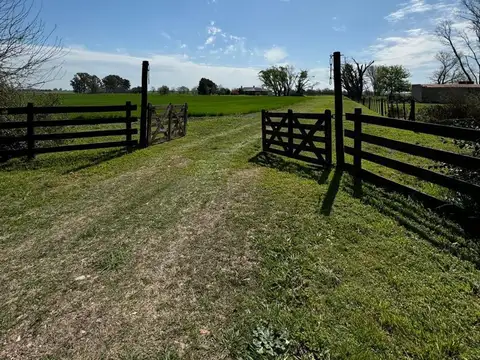 Campo/ Chacra 19has Torres Lujan c Renta