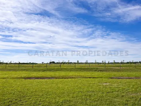Terreno en Venta en Funes, USD 118.000