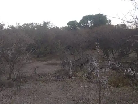 Terreno en Venta de 1060,0 m2