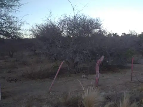 Calle Piscu Yaco