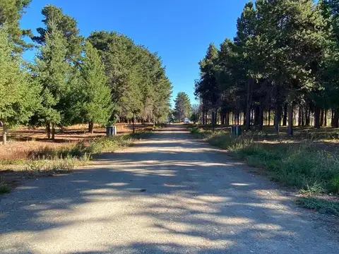 Terreno en Venta de 1116,0 m2