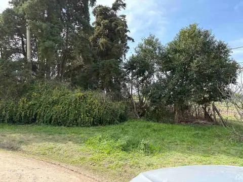 Lote en esquina 670 m2 arbolado, zona autódromo