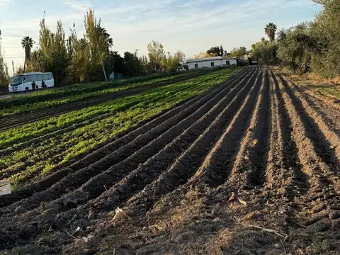 Finca de 6 has en venta en Los Corralitos, Gllén