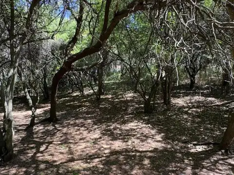 Terreno en Venta de 1000,0 m2