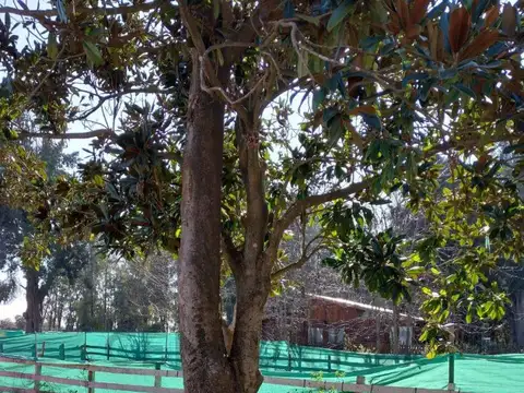 Terreno en Venta en Campos De Rodriguez, USD 19.000