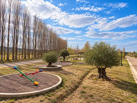 Terreno en Venta 34  mts Fondo