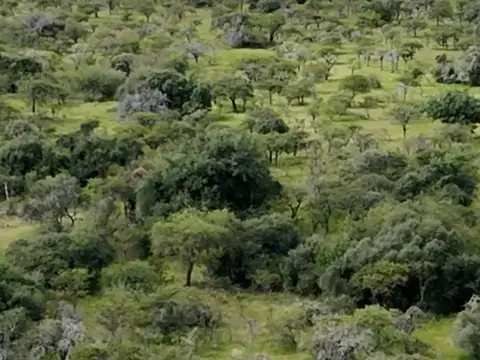 Campo en el Norte Entre Ríos