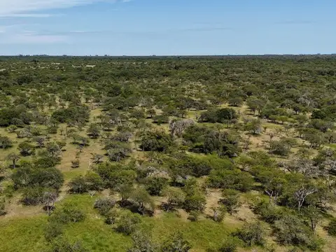 Campo en el Norte Entre Ríos