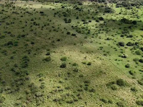 Campo en el Norte Entre Ríos