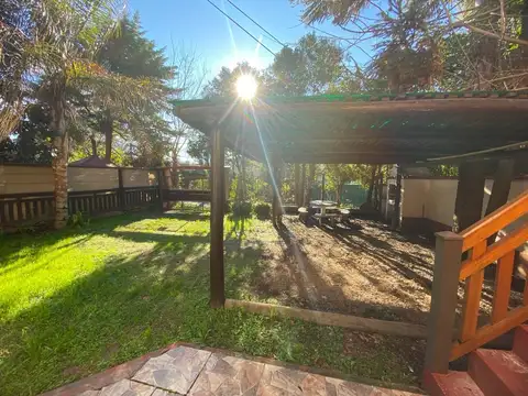 El Jacaranda 700