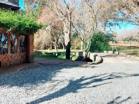Ruta 11  300