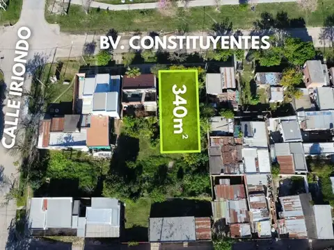 Constituyentes 1000