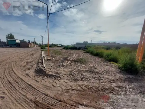 Terreno en Venta en Centenario, USD 29.000
