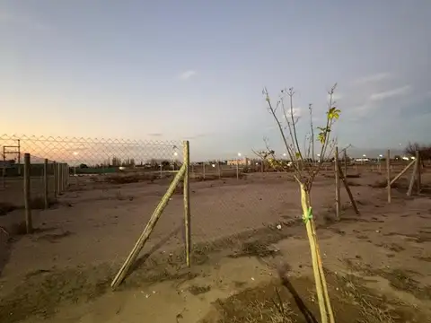 Vieytes al 3400 - Barrio Milcayac 2