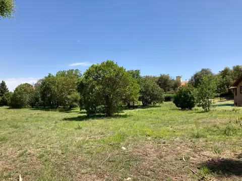 Terreno en Venta 61  mts Fondo