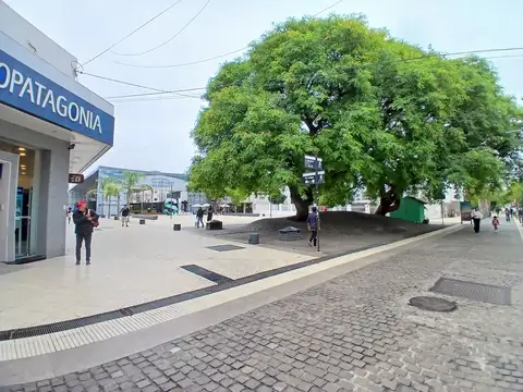 LOCAL COMERCIAL, PASEO DEL PADRE