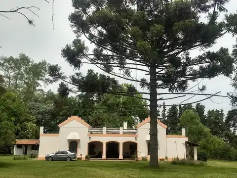 Campo en Venta Agrícola
