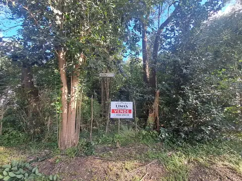 Villa Ciudad Parque 100