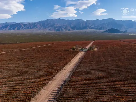 Finca en venta en El Cepillo