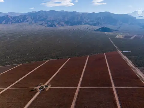 Campo en Venta de 104  ha