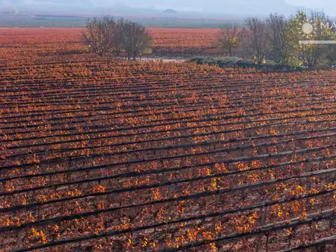 Campo en Venta de 104  ha