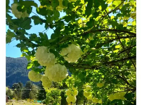 (HB008) LAGO PUELO (Isla Norte) Lotes de 450mtrs2