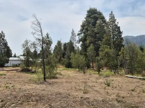 Terreno en Venta 12  mts Frente