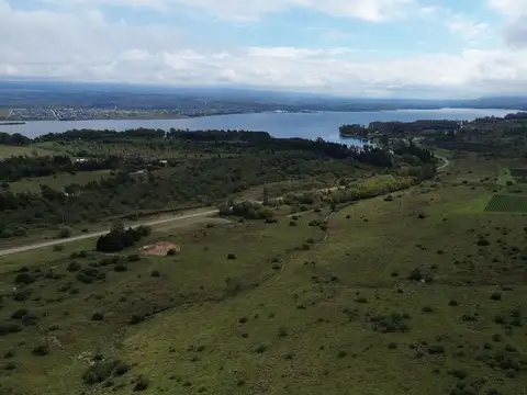 EXCEPCIONAL LOTE 61 HA AL LADO VIÑEDOS MOLVENTO