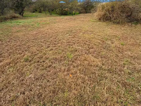 Ruta intermunicipal 100