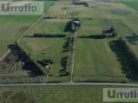 Campo en Ruta 41 Navarro