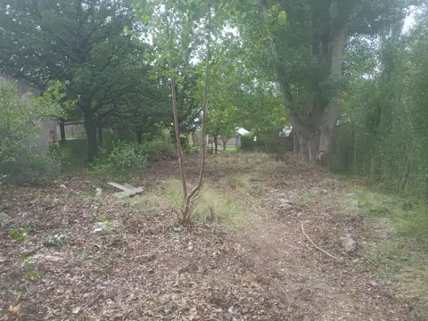 LAS VEGAS  - POTRERILLOS Los Condores S/N Lote 2 Manzana "C"